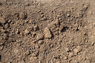 Пескогрунт