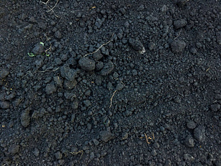 почва универсальная